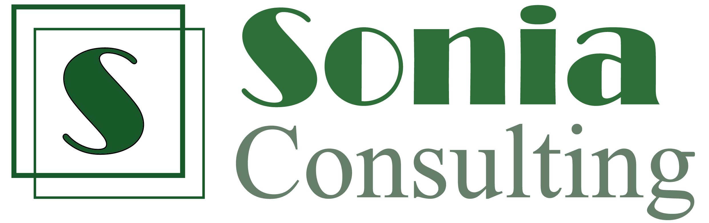 Sonia Consulting Sonia Consulting